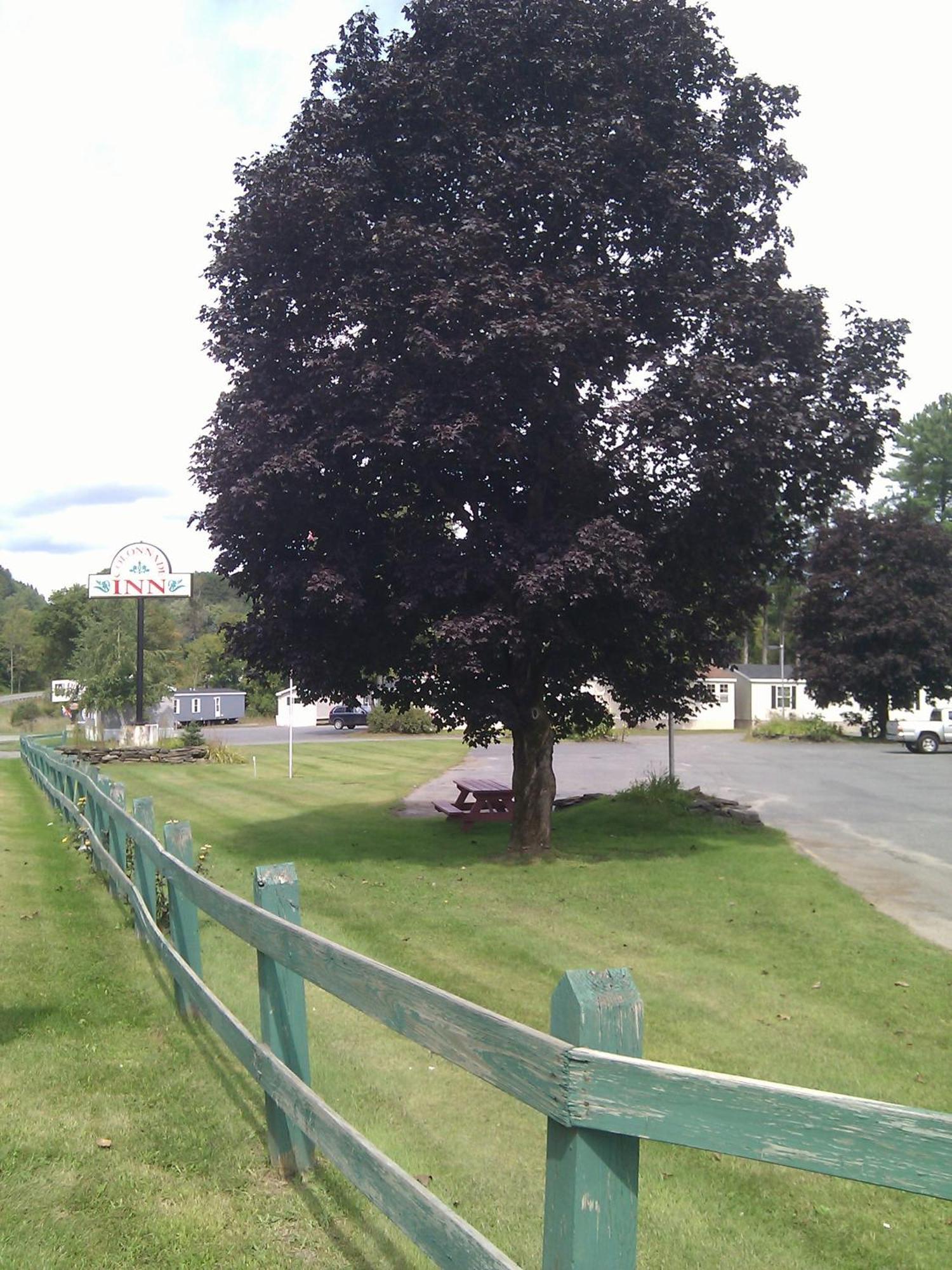 Colonnade Inn Lyndonville Exterior foto